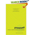 what i’m reading: groundswell