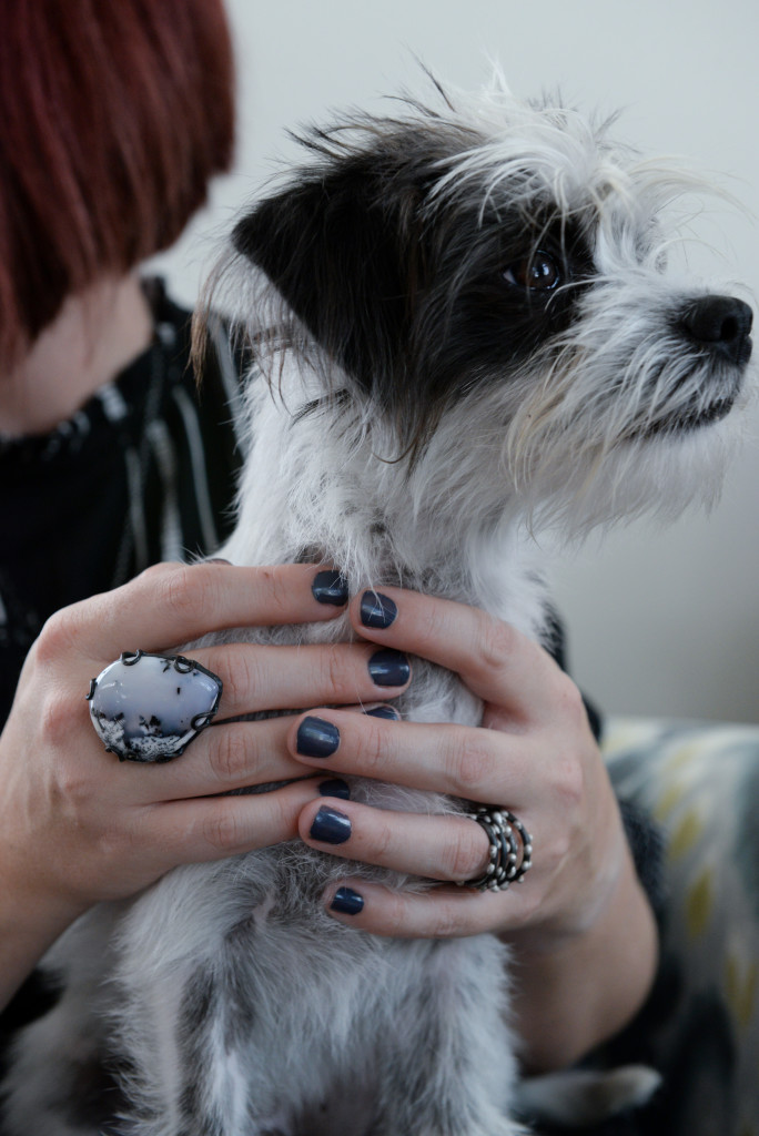 black and white puppy with black and white jewelry