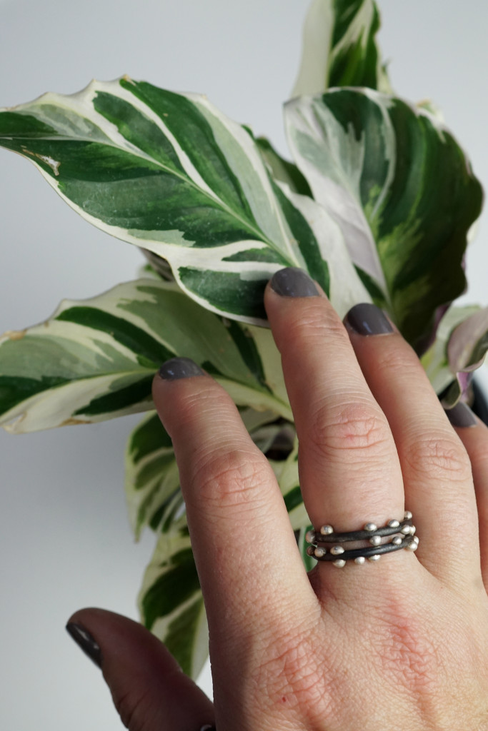 calathea fusion white and silver on steel stacking rings