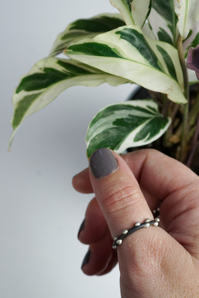 calathea fusion white and silver on steel thumb ring
