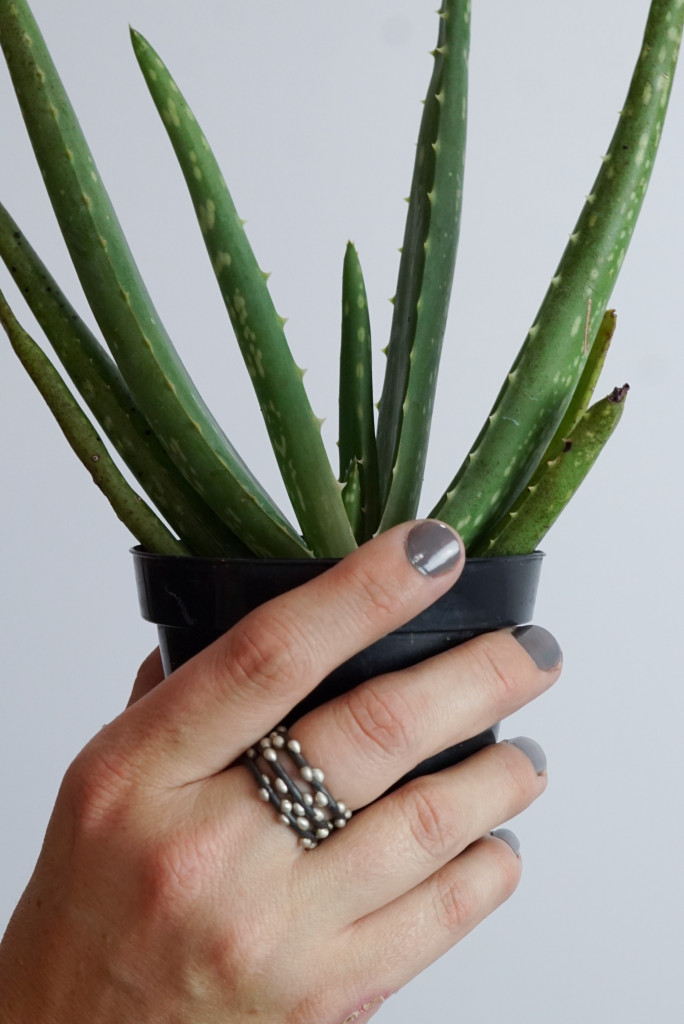 aloe plant with handmade silver on steel stacking rings