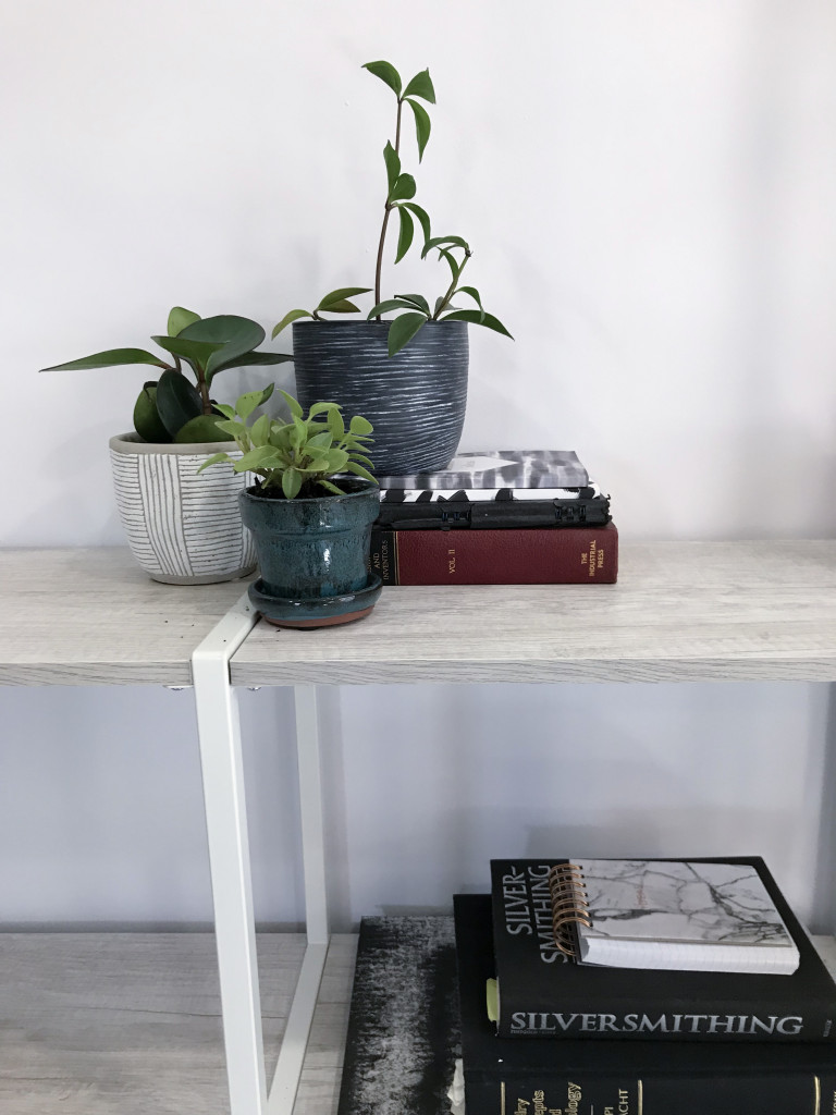 peperomia plants and paintings on bookshelf in metalsmithing studio