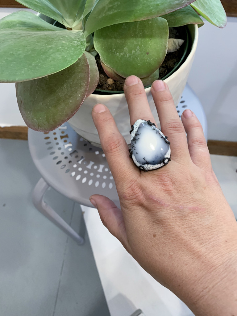 black and white statement ring with succulent houseplant