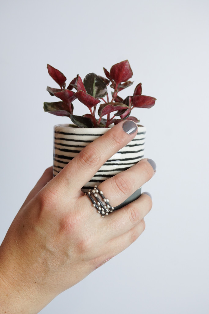 handmade mixed metal stacking rings, striped ceramic cup, and peperomia plant