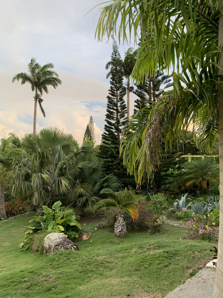 the gardens of Golden Rock Inn Nevis, West Indies