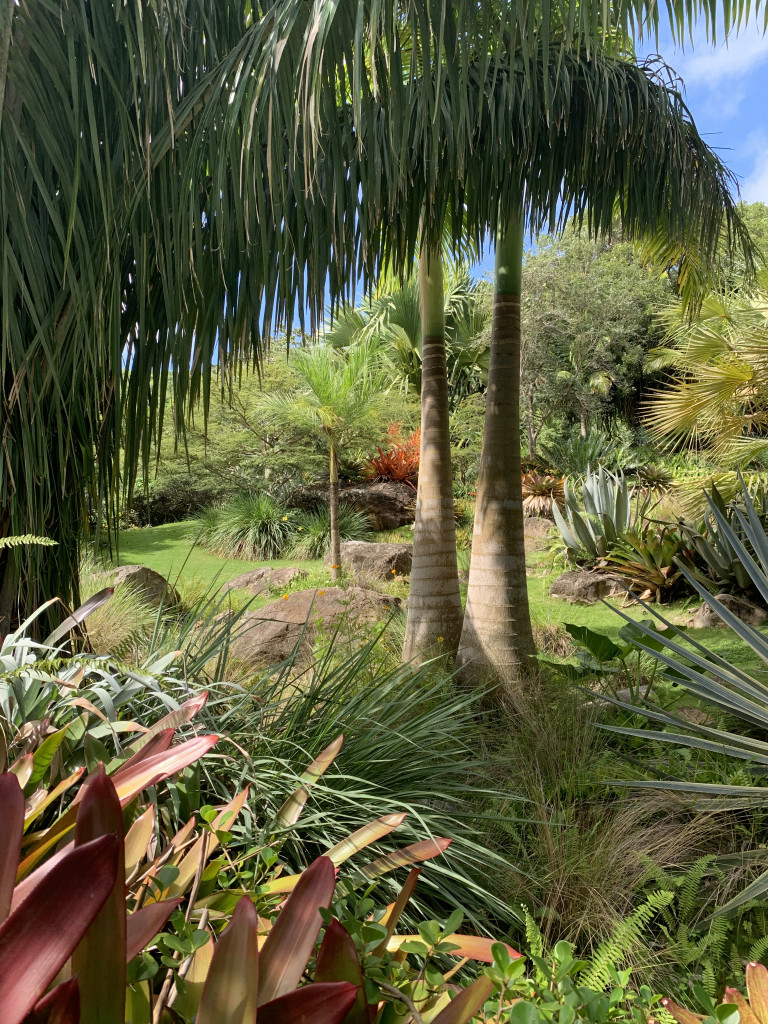 the gardens of Golden Rock Inn Nevis, West Indies