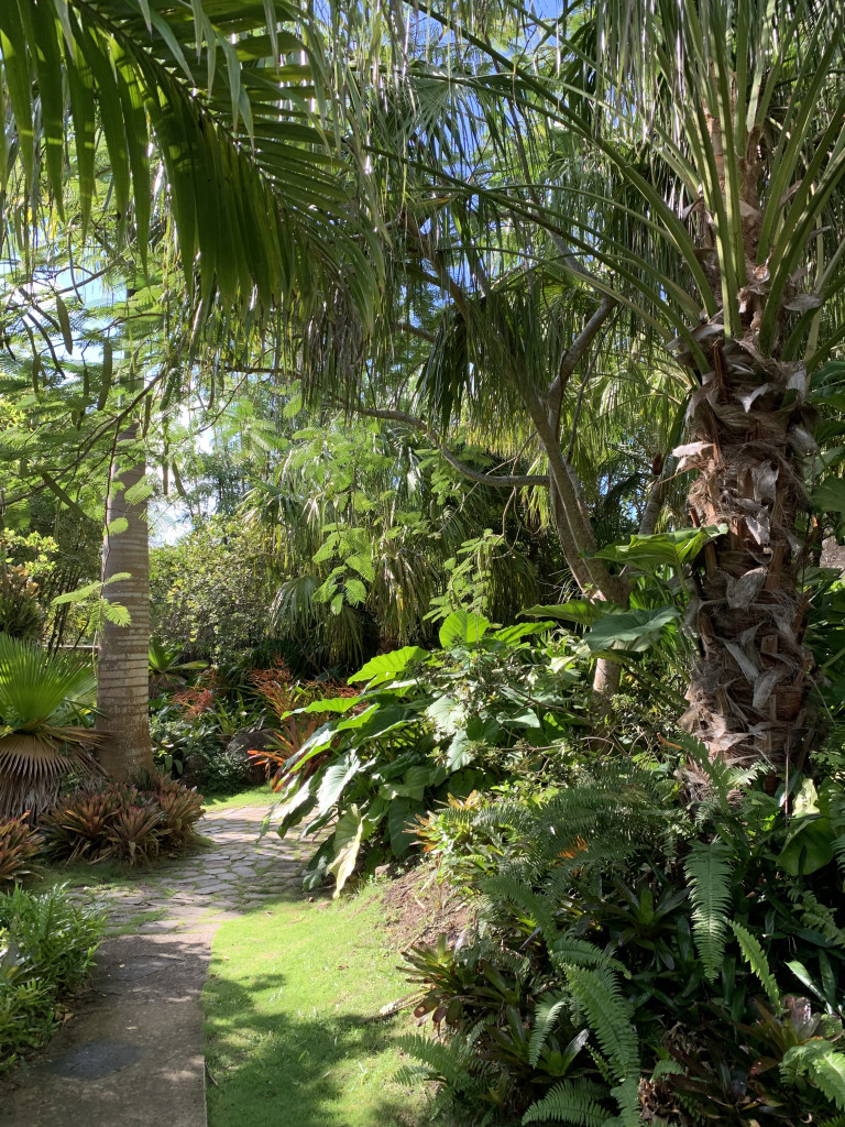 the gardens of Golden Rock Inn Nevis, West Indies