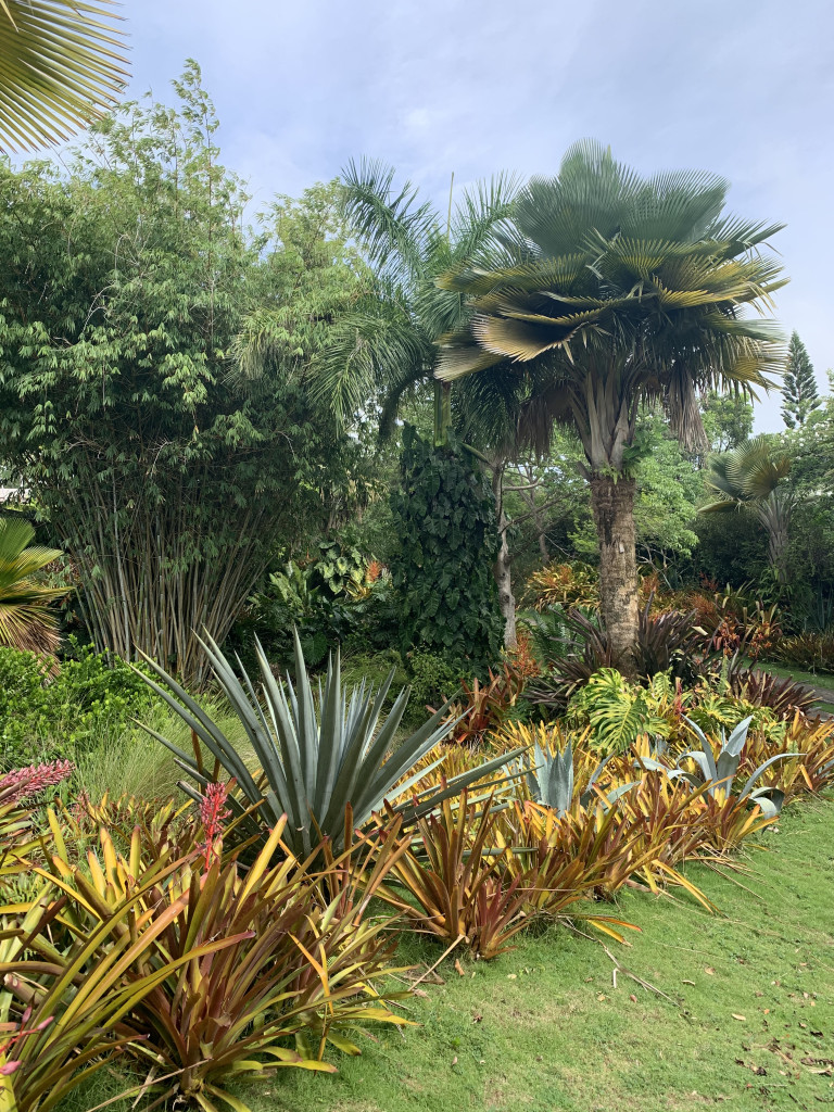 the gardens of Golden Rock Inn Nevis, West Indies