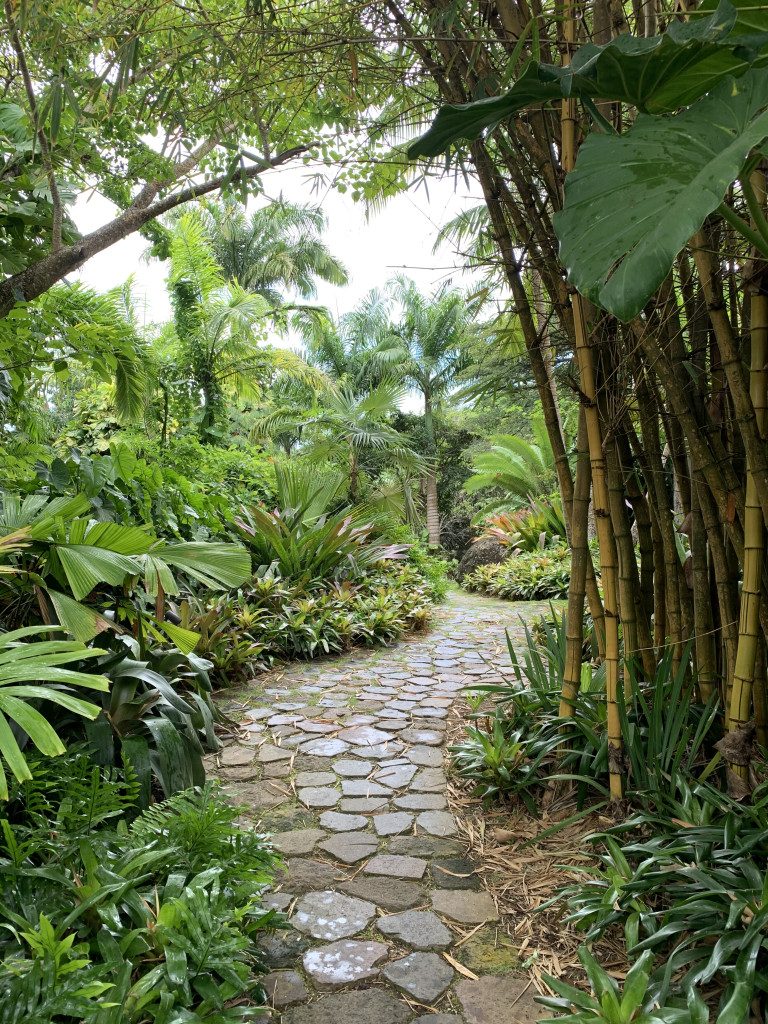 the gardens of Golden Rock Inn Nevis, West Indies