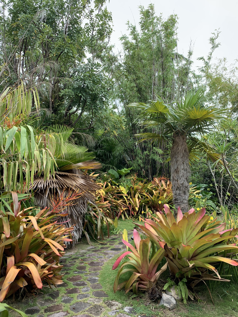 the gardens of Golden Rock Inn Nevis, West Indies