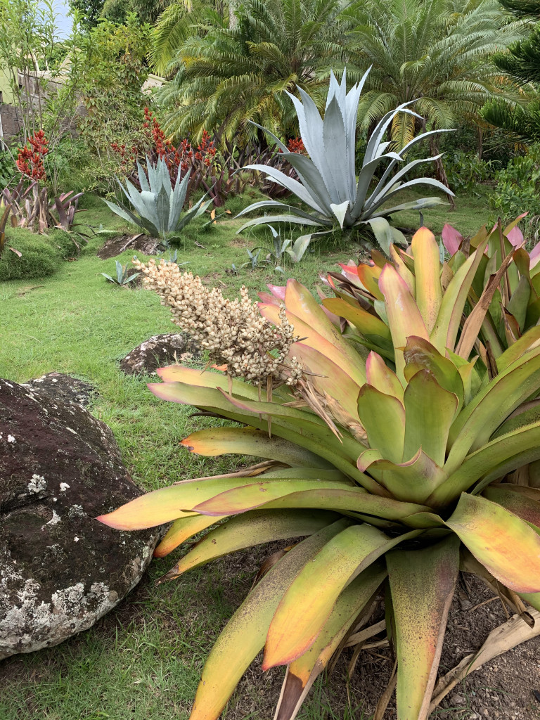 the gardens of Golden Rock Inn Nevis, West Indies