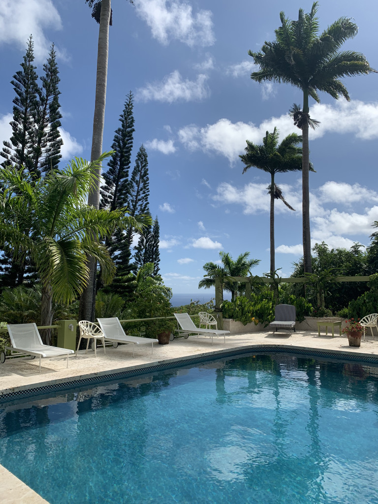 the pool at Golden Rock Inn Nevis, West Indies, Caribbean
