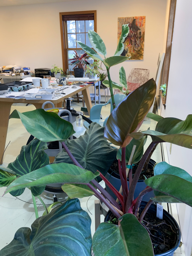 urban jungle inspiration - tropical plants in the studio of designer and metalsmith Megan Auman