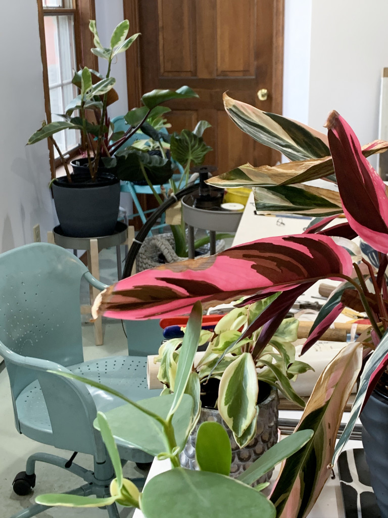 urban jungle inspiration - tropical plants in the studio of designer and metalsmith Megan Auman