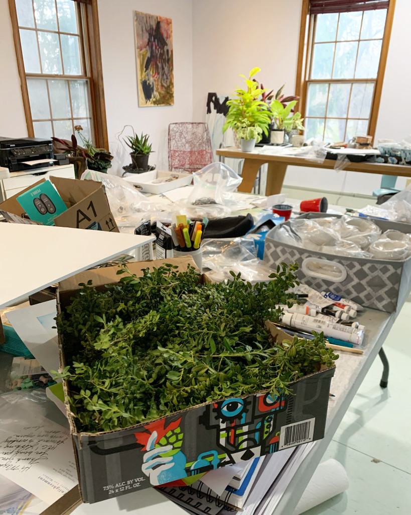 houseplants in jewelry metalsmithing studio