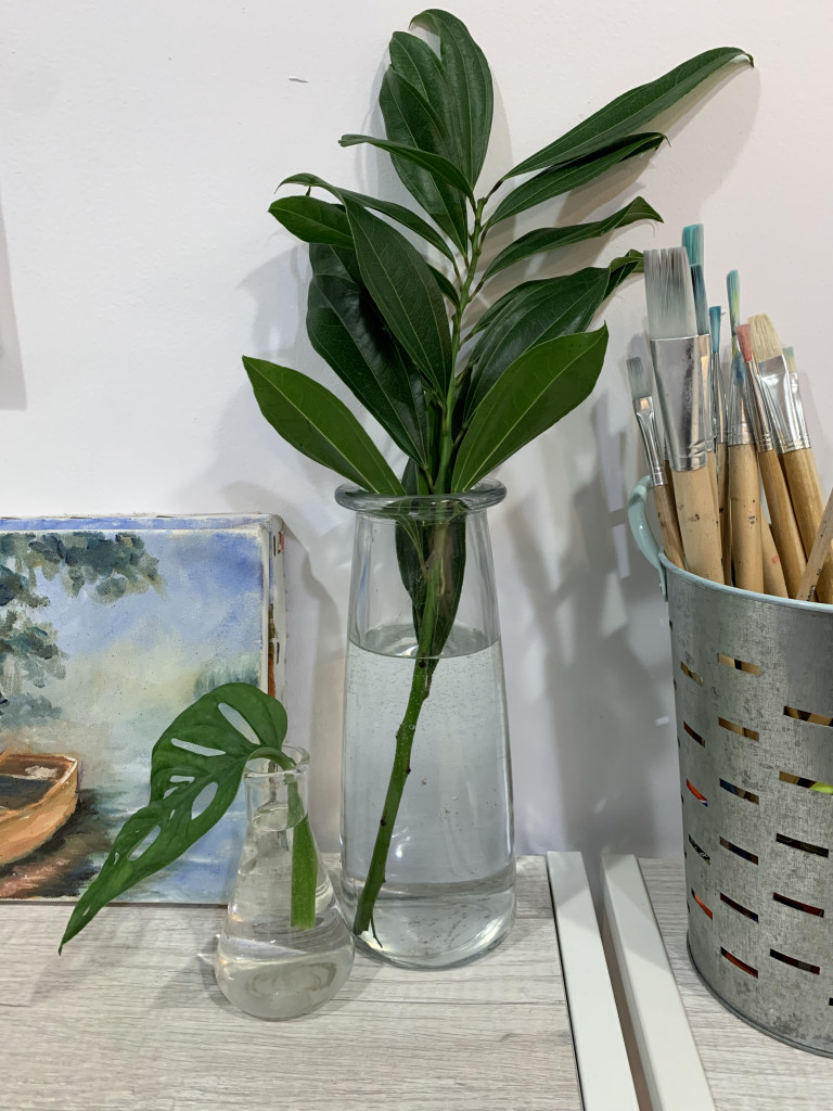 artist studio detail: leaves in glass vases with paint brushes