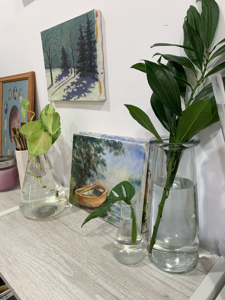 plants in glass jars and paintings