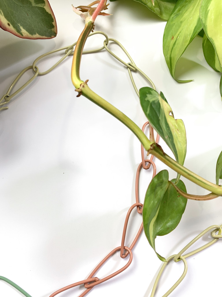 modern jewelry - colorful chain necklace with peperomia and phildendron brasil