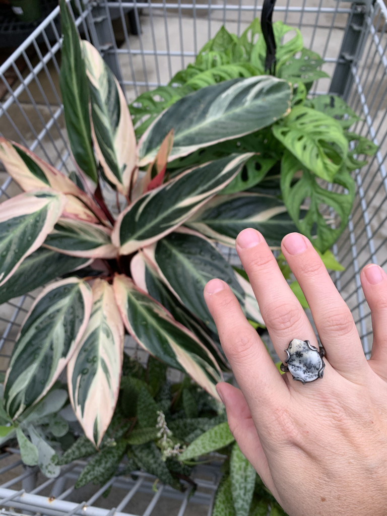 plant shopping and a statement ring