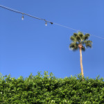 palm springs pics, part 2: color blocking in green and blue