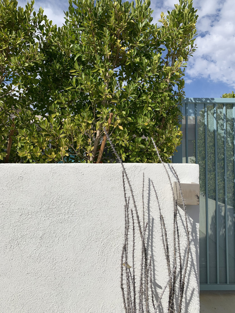 Palm Springs photo inspiration: gate