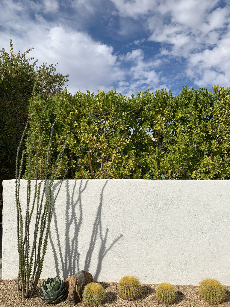 Palm Springs photo inspiration: wall