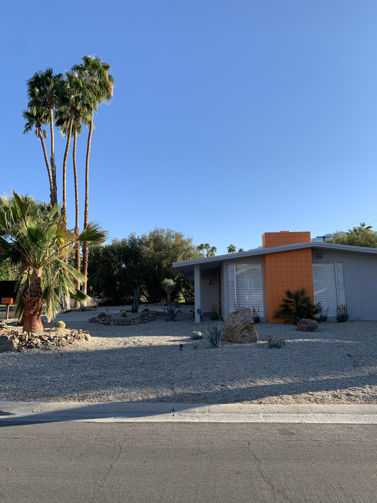 Palm Springs photo inspiration: palm trees