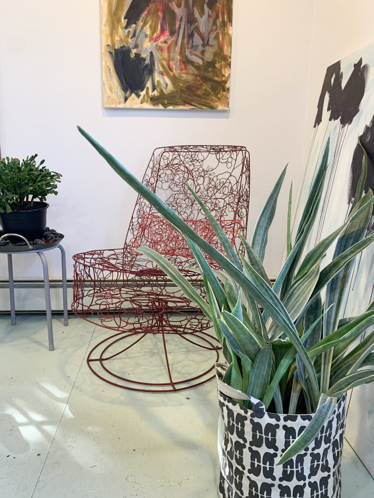 sansevieria sayuri in the studio of artist and metalsmith megan auman