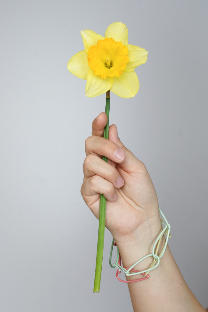 modern colorful bracelets and daffodil