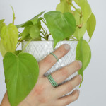 green stacking rings + houseplant