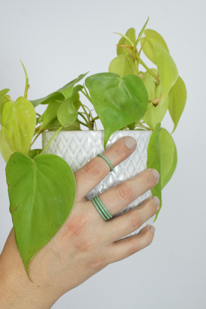 green stacking rings + philodendron