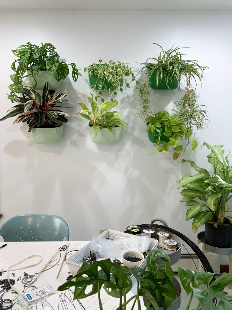 living plant wall in artist Megan Auman's studio