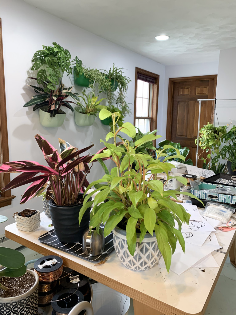 living plant wall and houseplants in artist studio