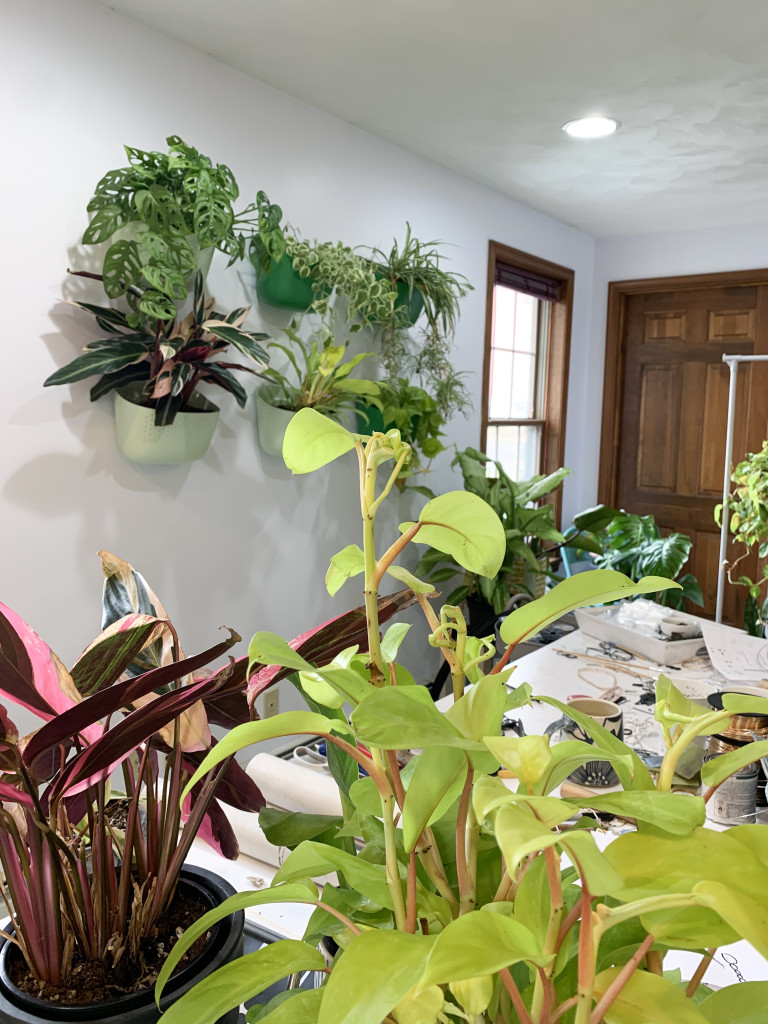 living plant wall and houseplants in artist studio