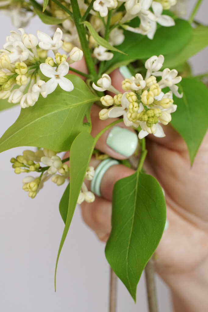 lilacs and mint green stacking rings