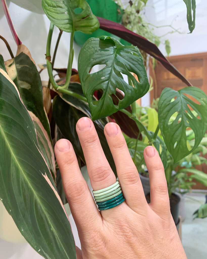 green stacking rings with monstera adansonii and stromanthe triostar