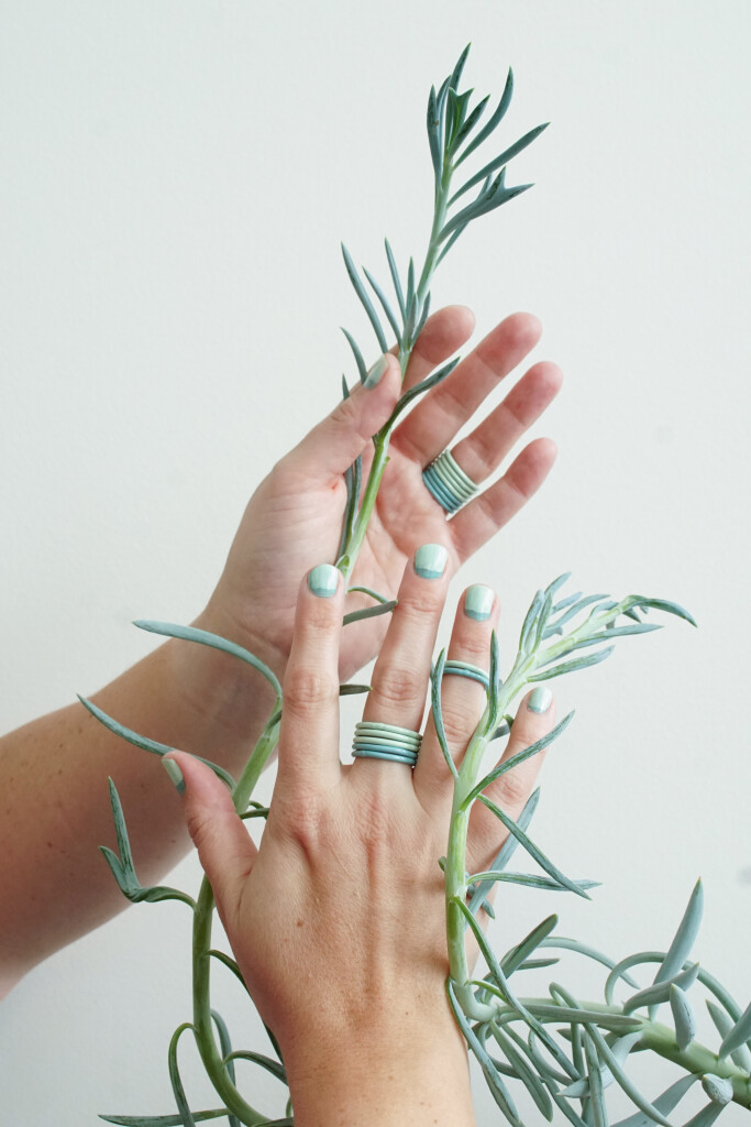 stacking rings and succulents