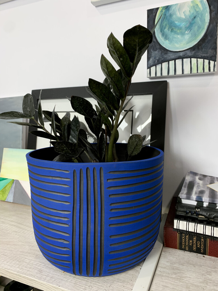 handmade ceramic planter and ZZ Raven plant