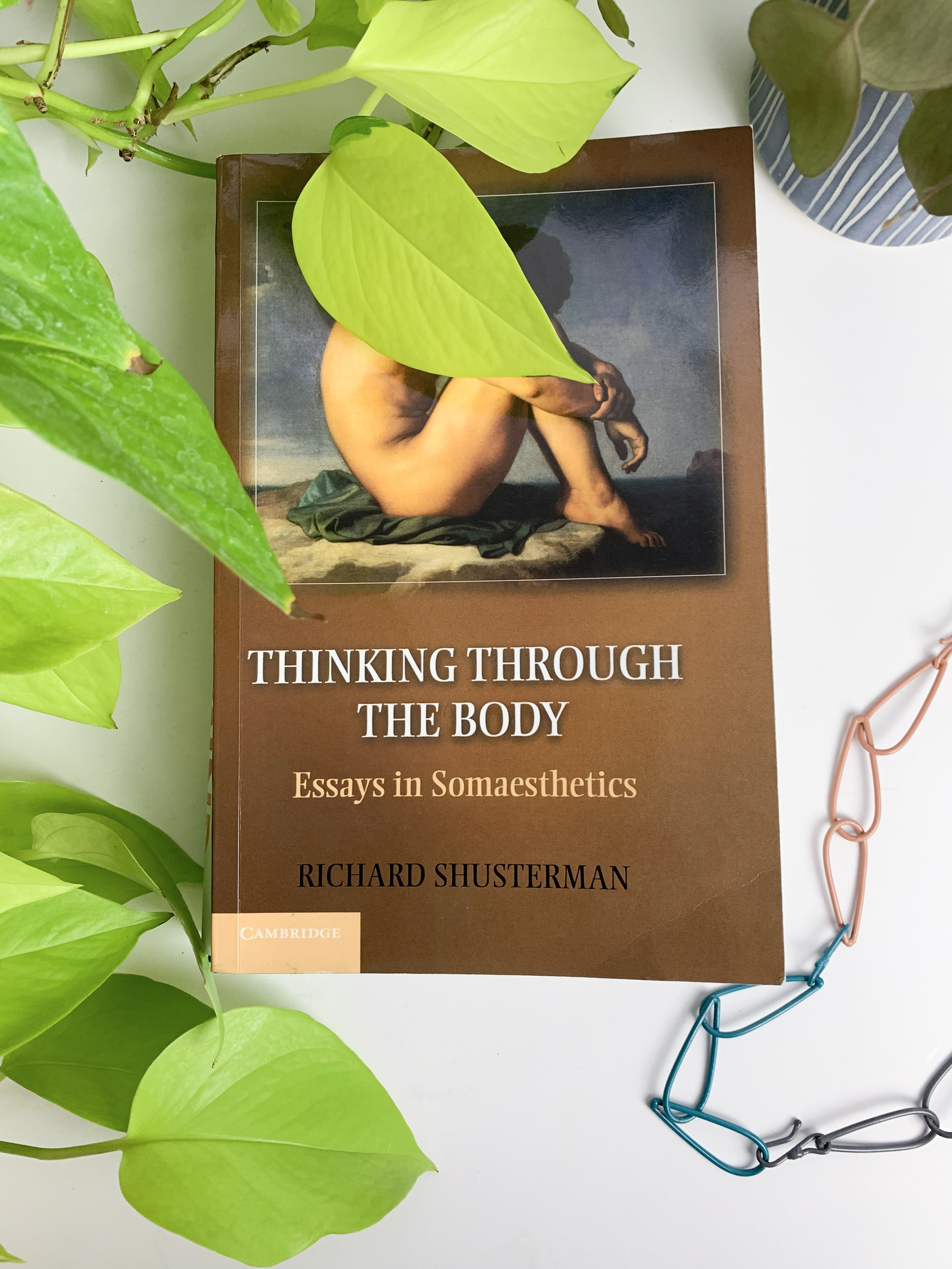 book review: Thinking Through the Body: Essays on Somaesthetics by Richard Shusterman