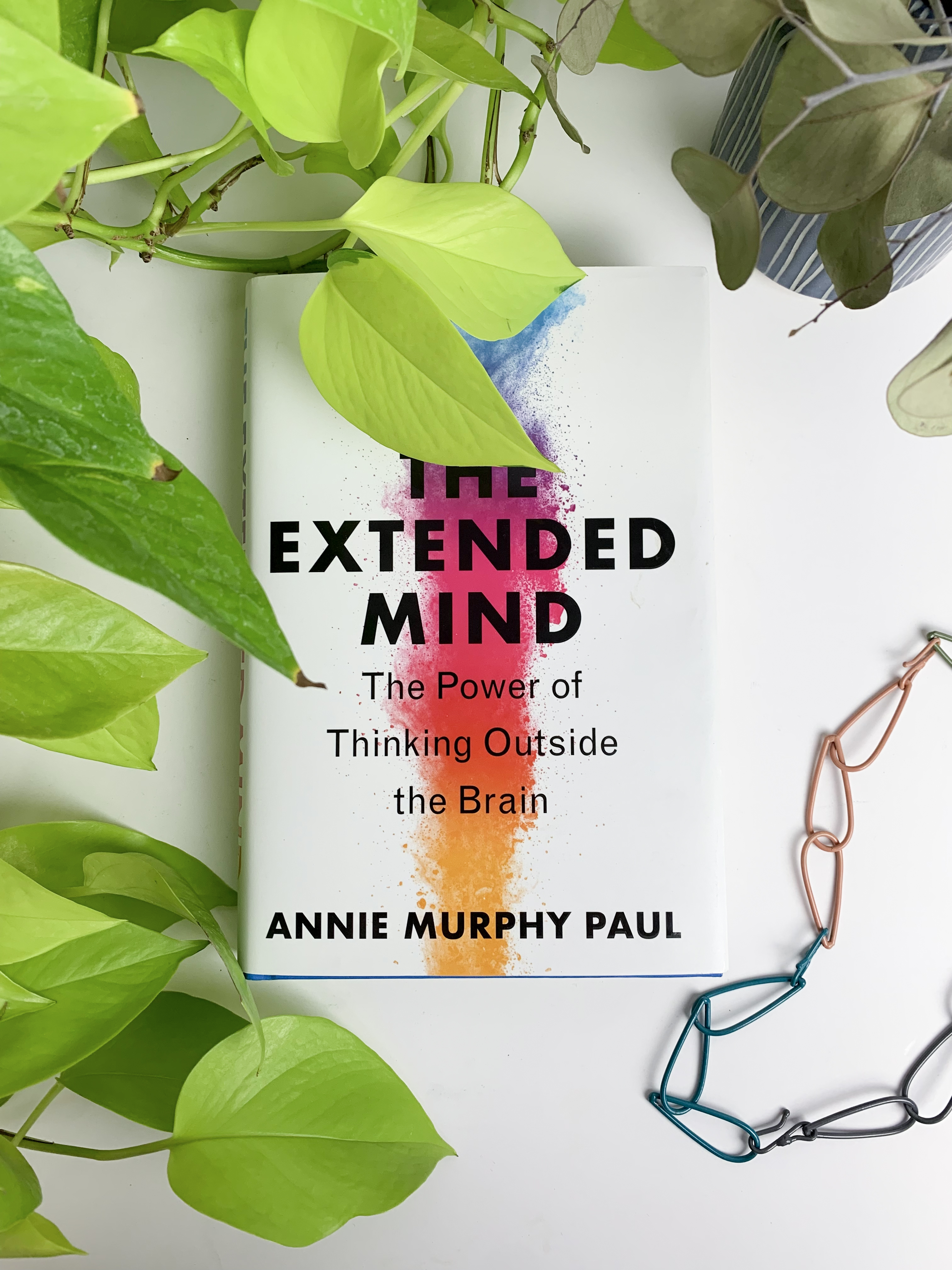book review: The Extended Mind: The Power of Thinking Outside the Brain by Annie Murphy Paul