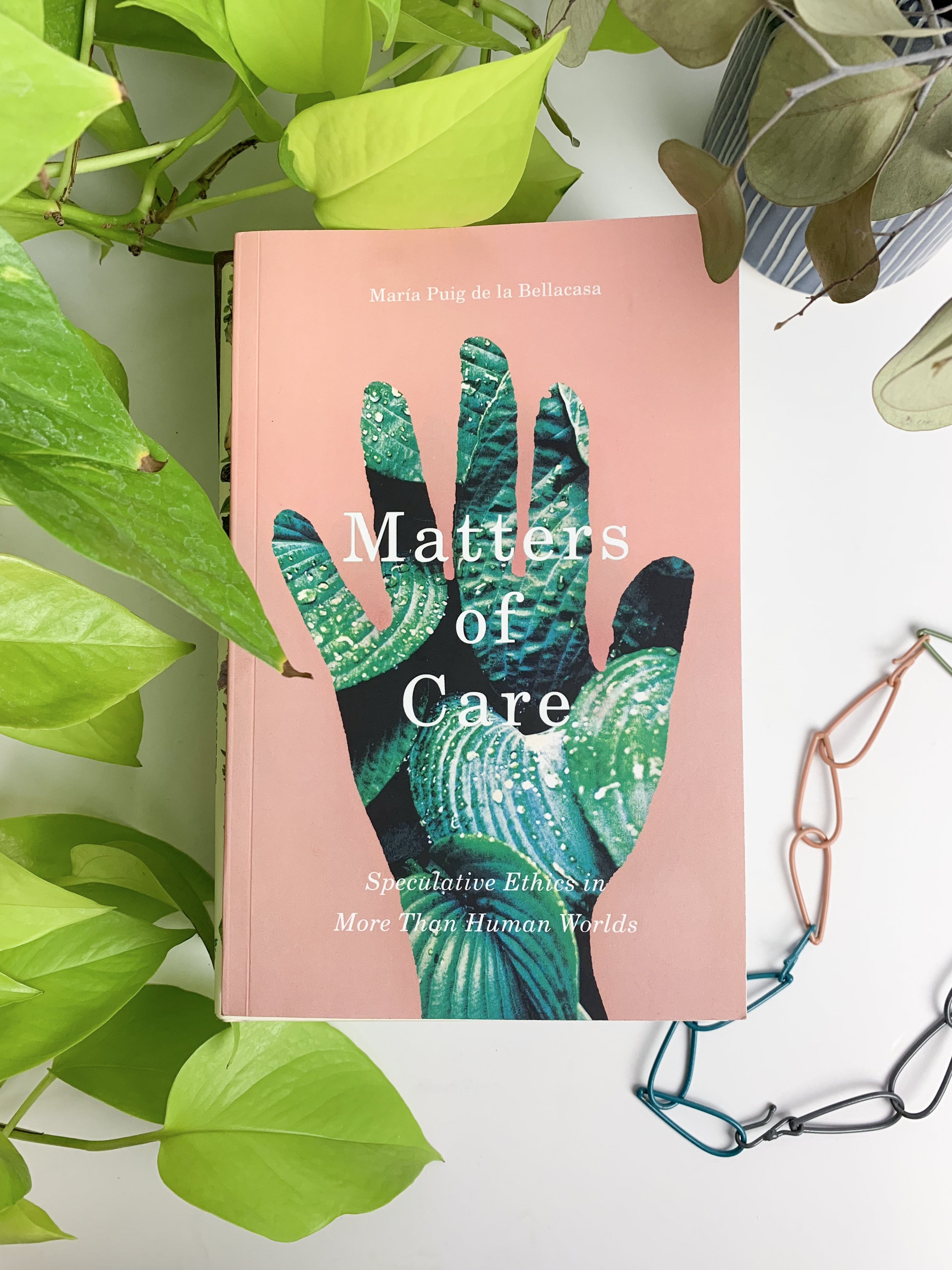 book review: Matters of Care by María Puig de la Bellacasa