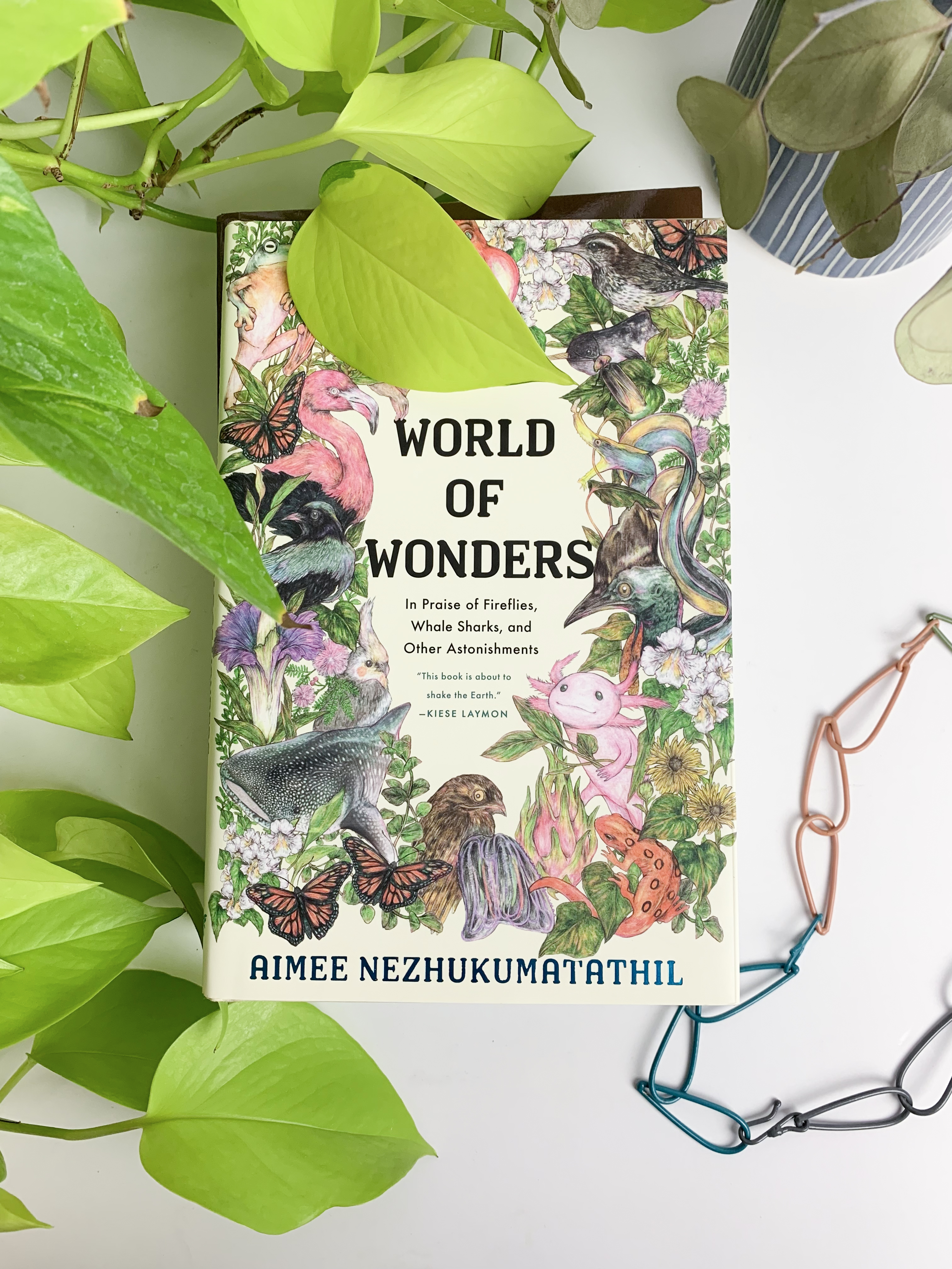 book review: World of Wonders by Aimee Nezhukumatathil