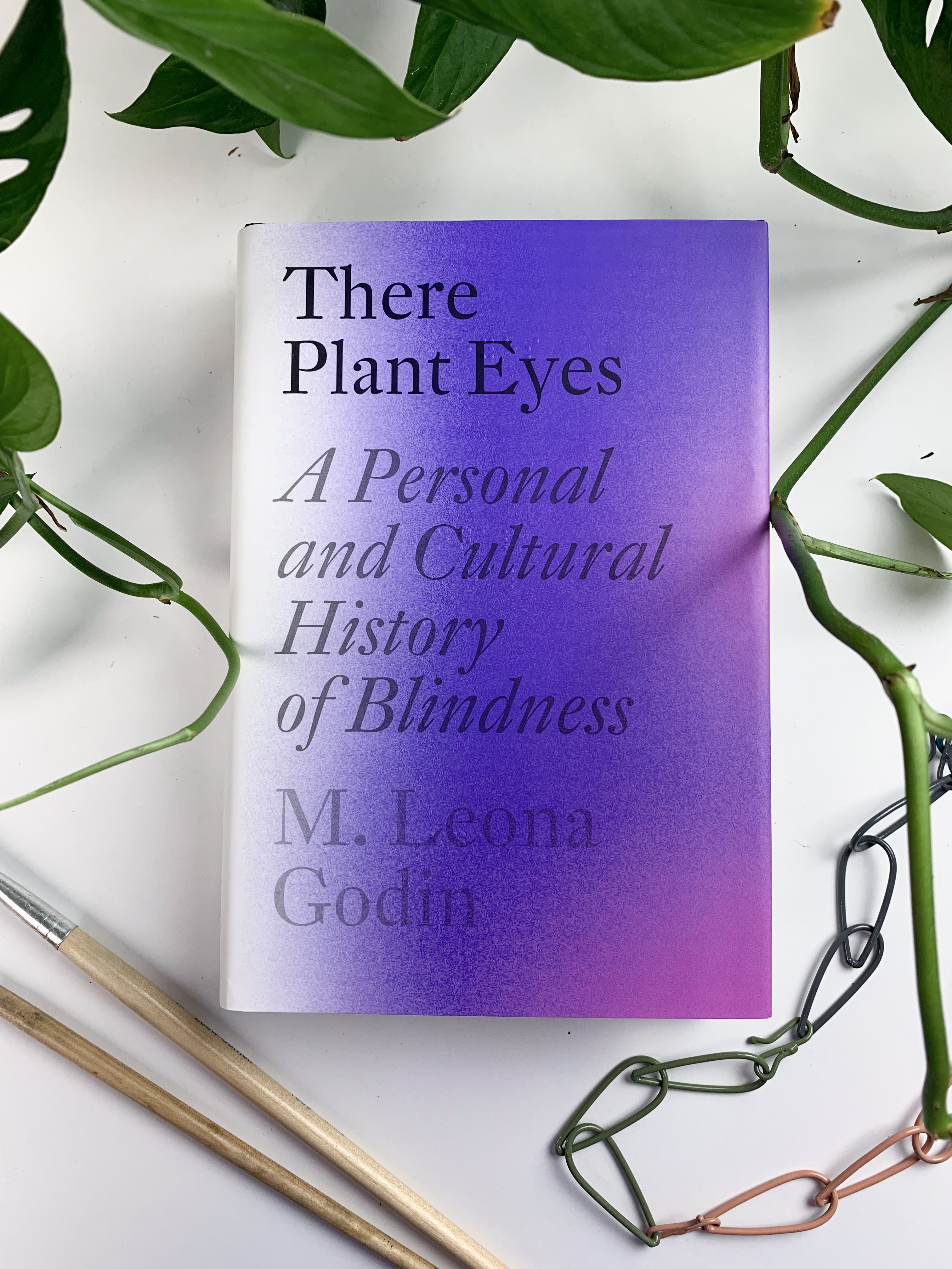 review of There Plant Eyes: A Personal and Cultural History of Blindness by M. Leona Godin