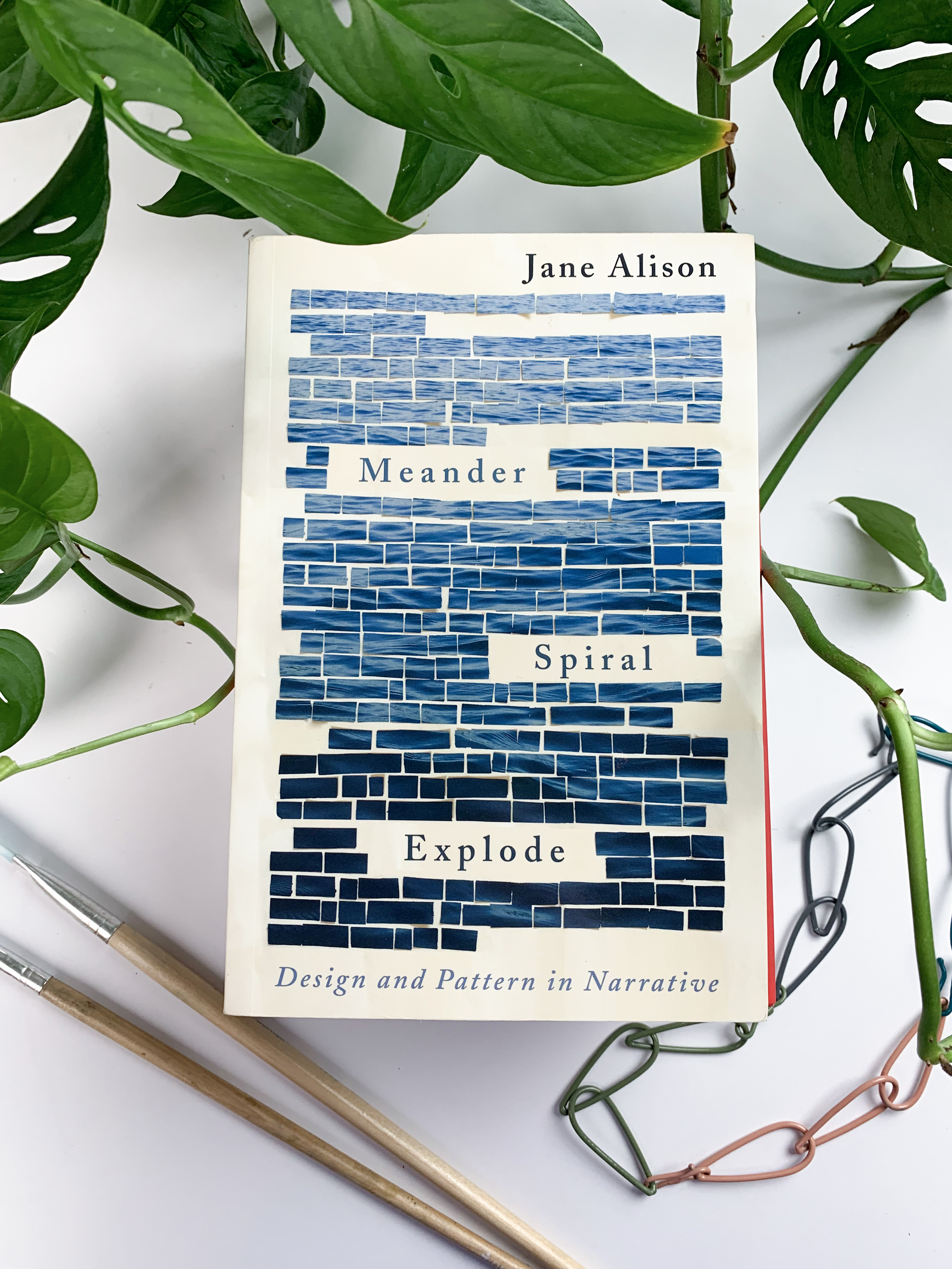 review of Meander, Spiral, Explode by Jane Alison