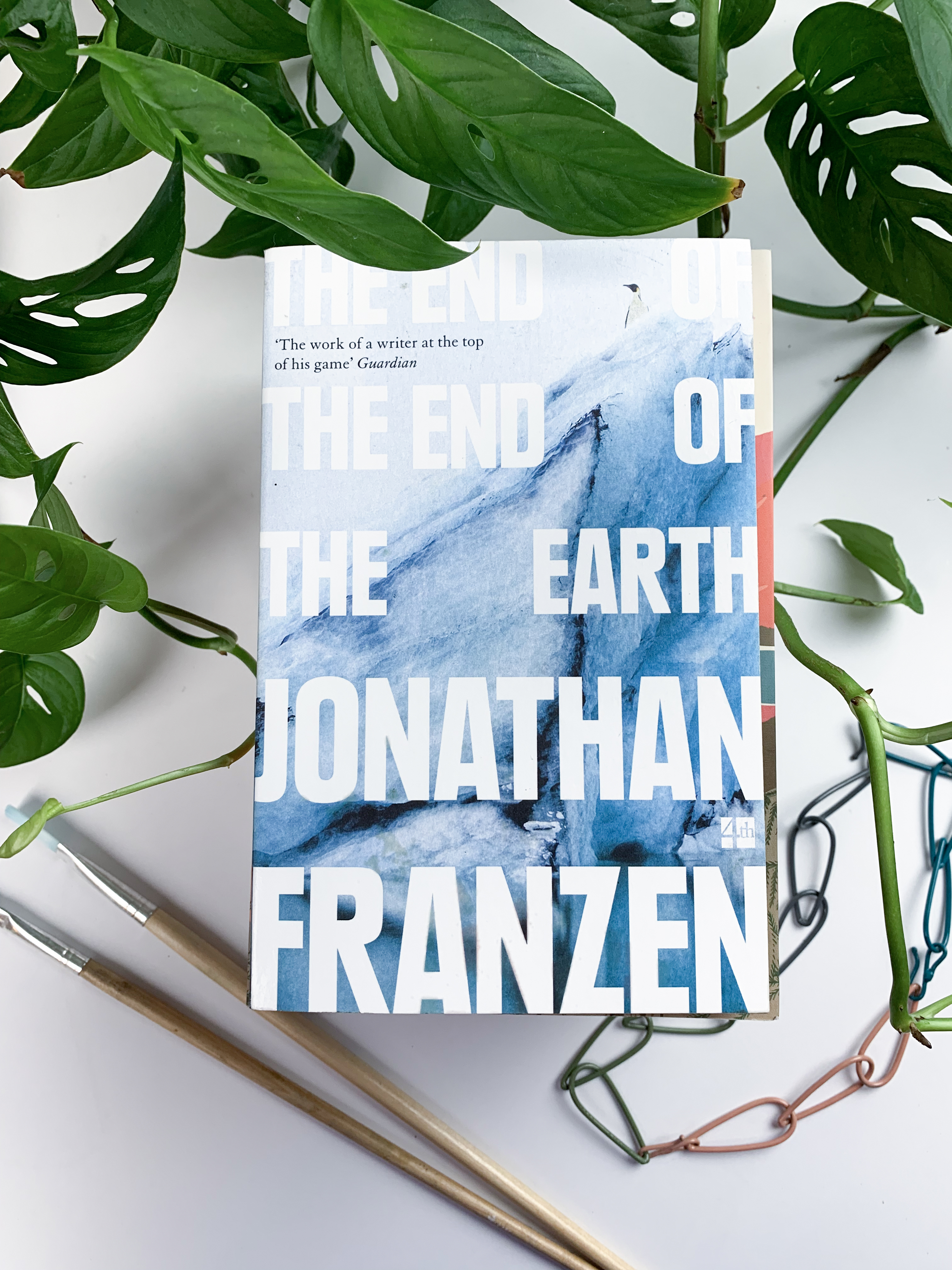 review of The End of The End of The Earth by Jonathan Franzen