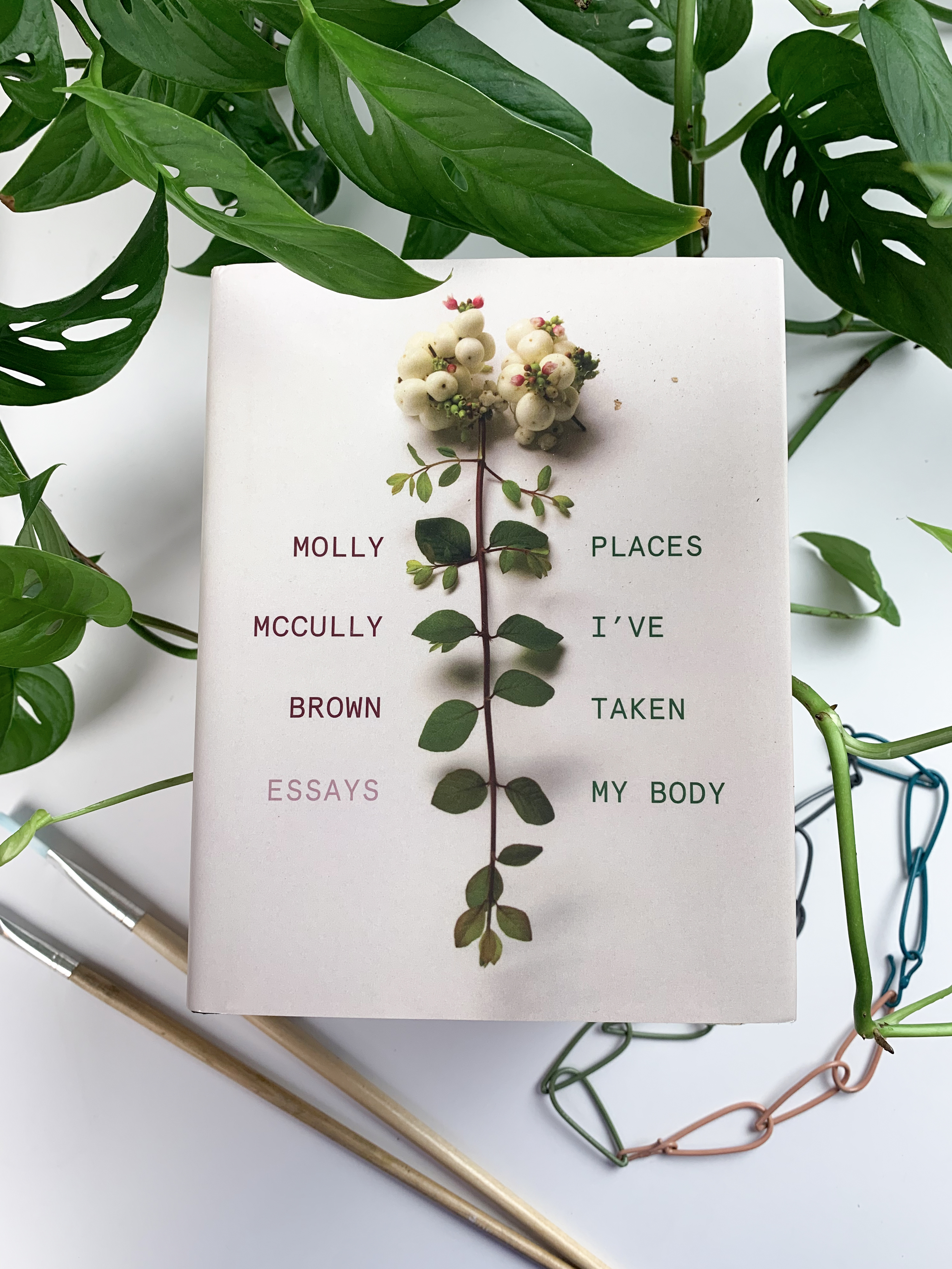 review of Places I've Taken my Body by Molly McCully Brown