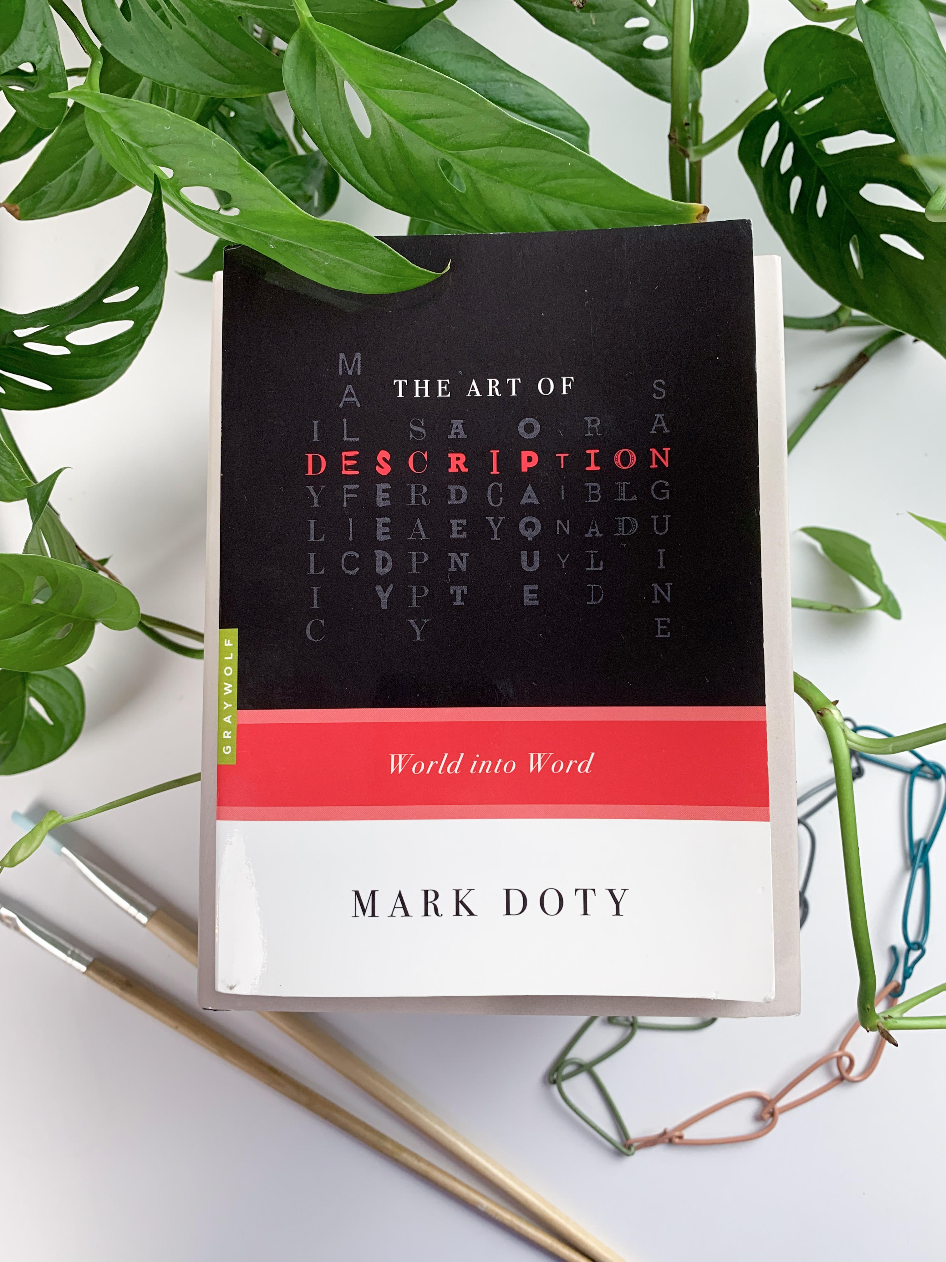 review of The Art of Description by Mark Doty