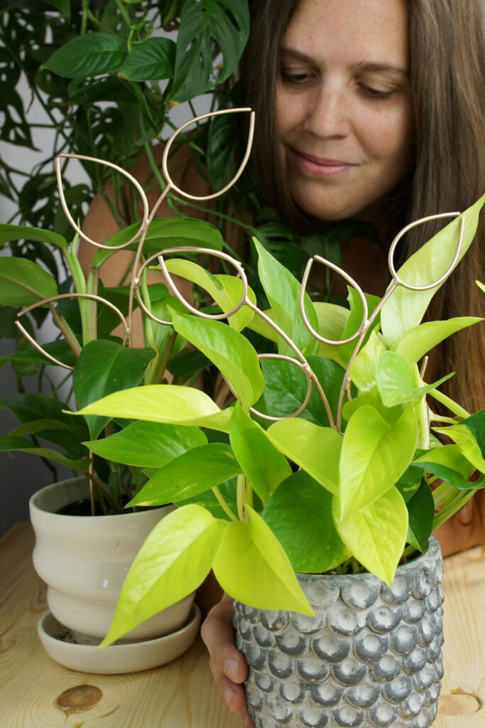 woman with house plants and bronze plant stakes