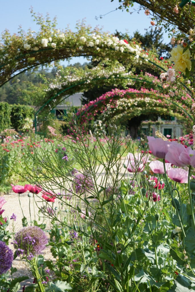 Monet's garden in Giverny