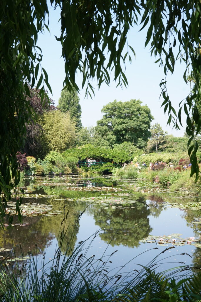 Monet's water lily pond